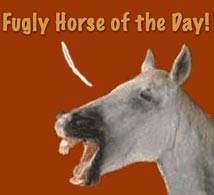 Fugly Horse of the Day