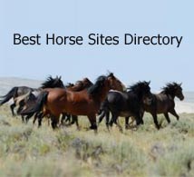 Best Horse Sites Directory