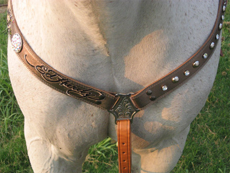 Show Horse Gallery - Ed Hardy Tack