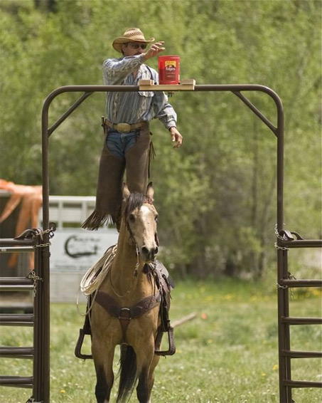 Show Horse Gallery - Extreme Cowboy Racing