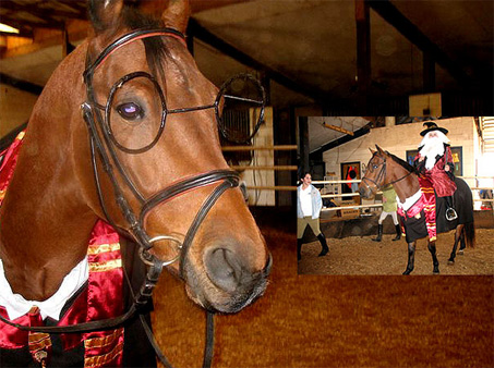 Show Horse Gallery - Harry Potter Costume