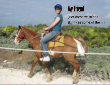 Show Horse Gallery - My Mexican Caribbean Cruise