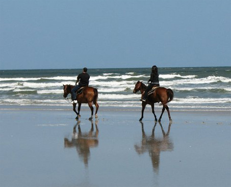 Show Horse Gallery - Kelly Seahorse Ranch Beach Ride - Amelia Island, Florida