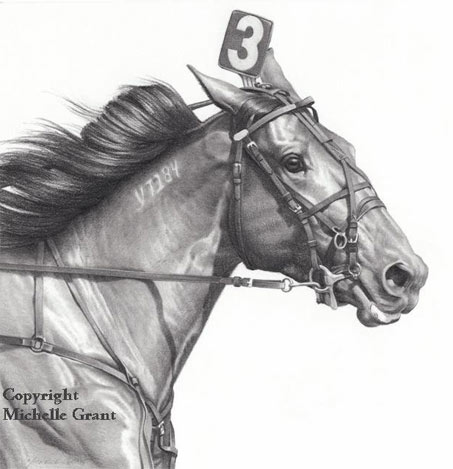 Show Horse Gallery - Michelle Grant Art