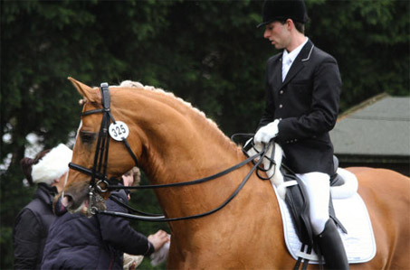 Show Horse Gallery - Treliver Decanter