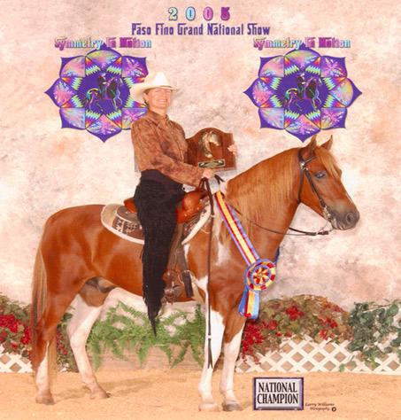 Show Horse Gallery - White Star’s DaVinci